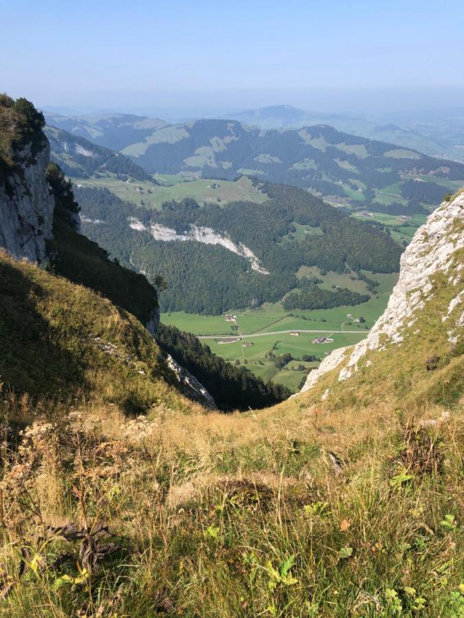 Schoenenbueel Teufen المظهر الخارجي الصورة